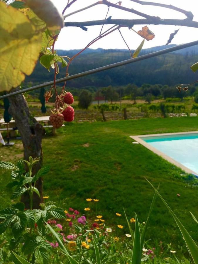 Quinta da Aranha Arcos de Valdevez Exterior foto